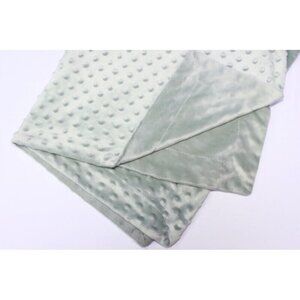 Plush Minky Baby Blanket Green Lovey Raised Dot Texture 40x30 Boy or Girl